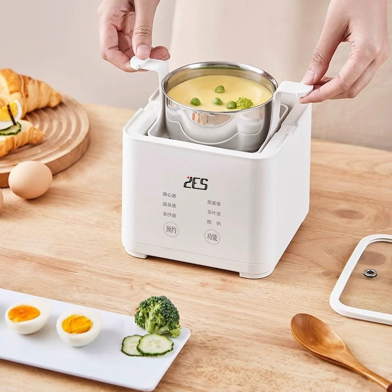 6 in 1 Upgrated Egg Cooker